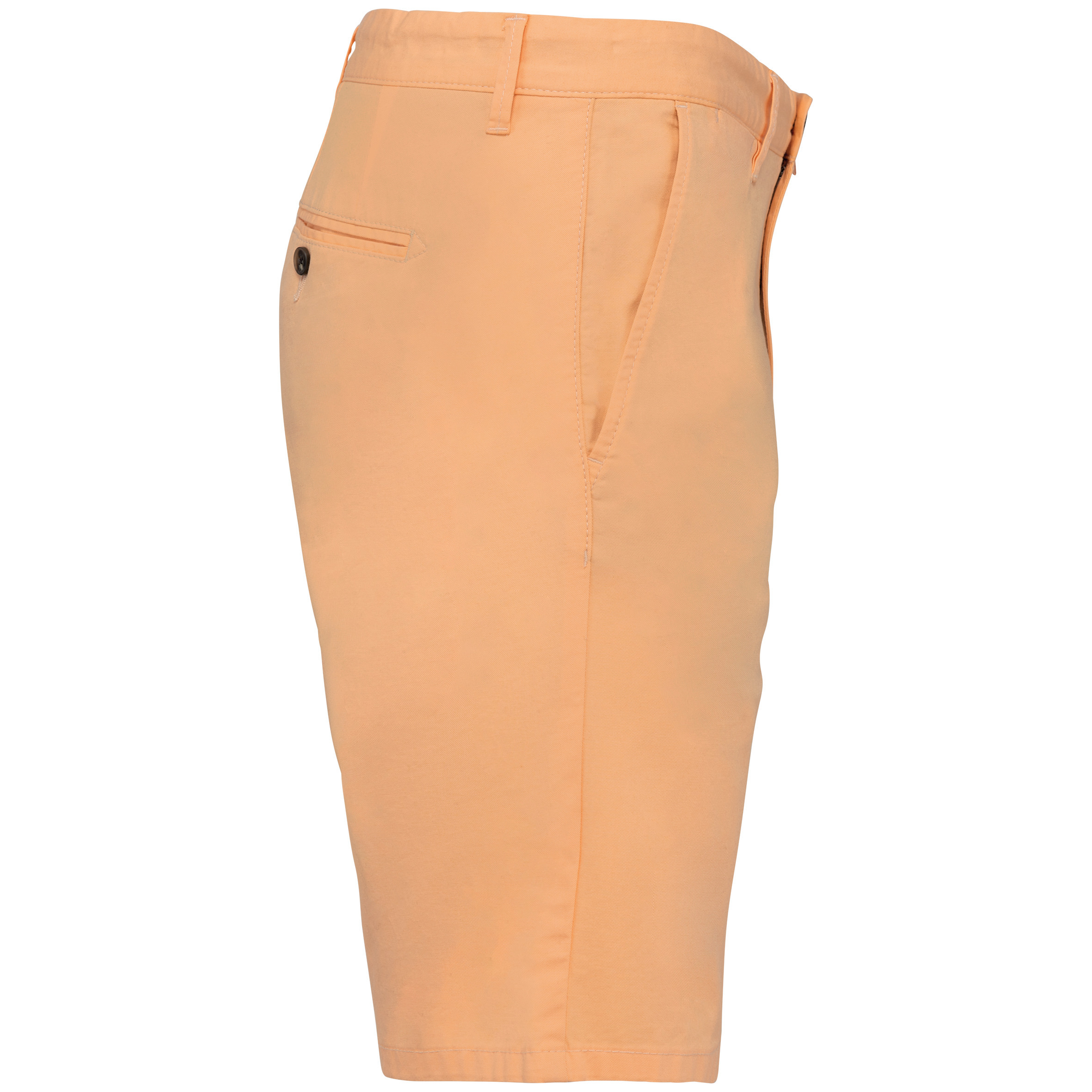 PS_NS738-S-2_PASTELAPRICOT