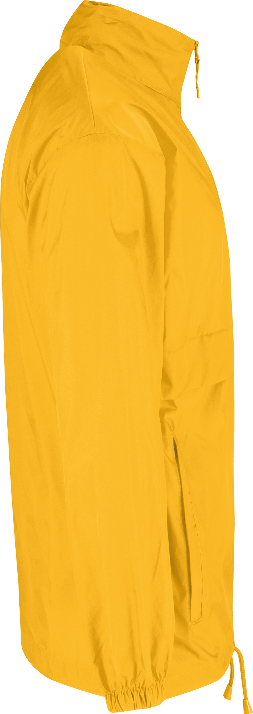 PS_CGSIR-S_GOLD PS_CGSIR-S_GOLD