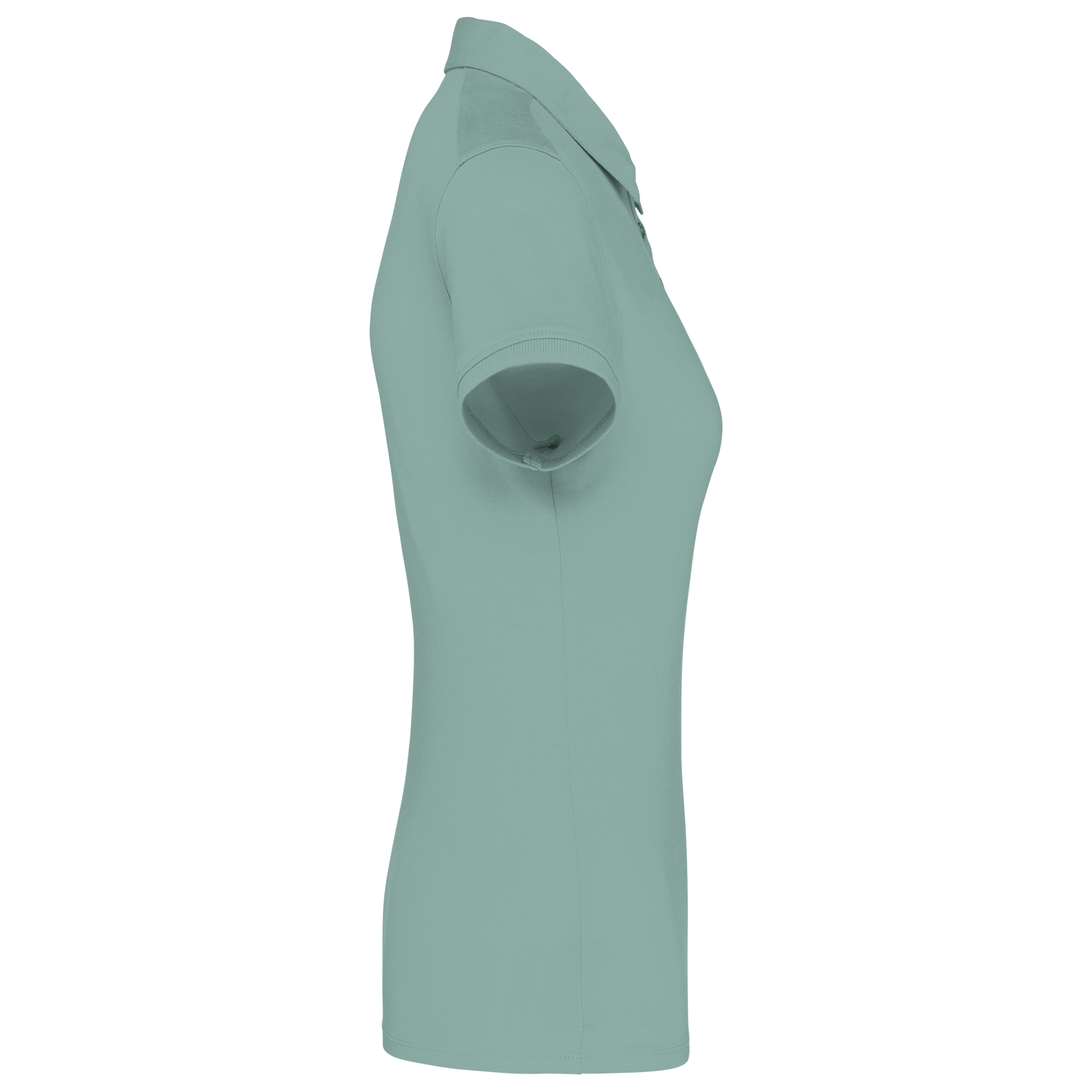 PS_K263-S_SAGE PS_K263-S_SAGE