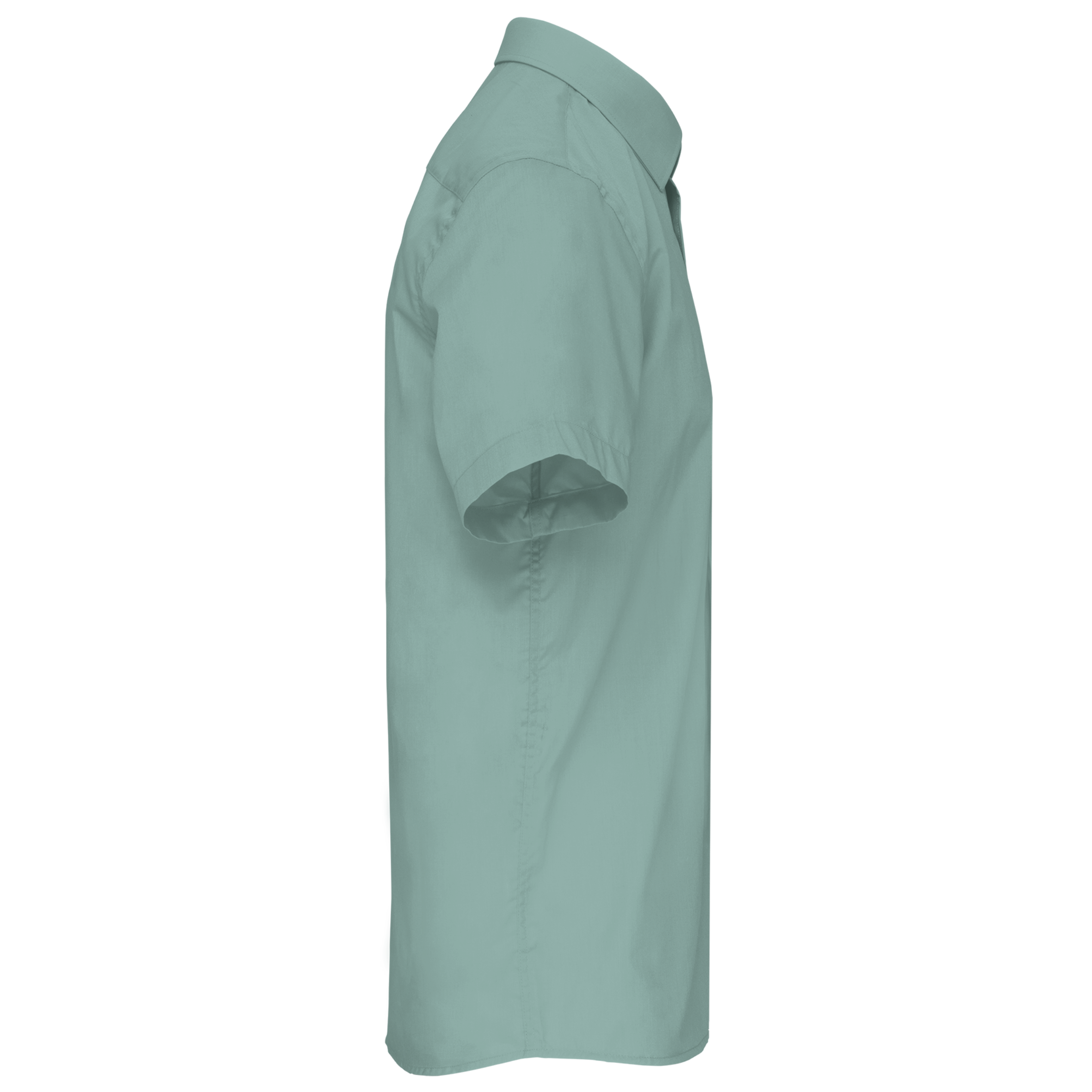 PS_K551-S_SAGE PS_K551-S_SAGE