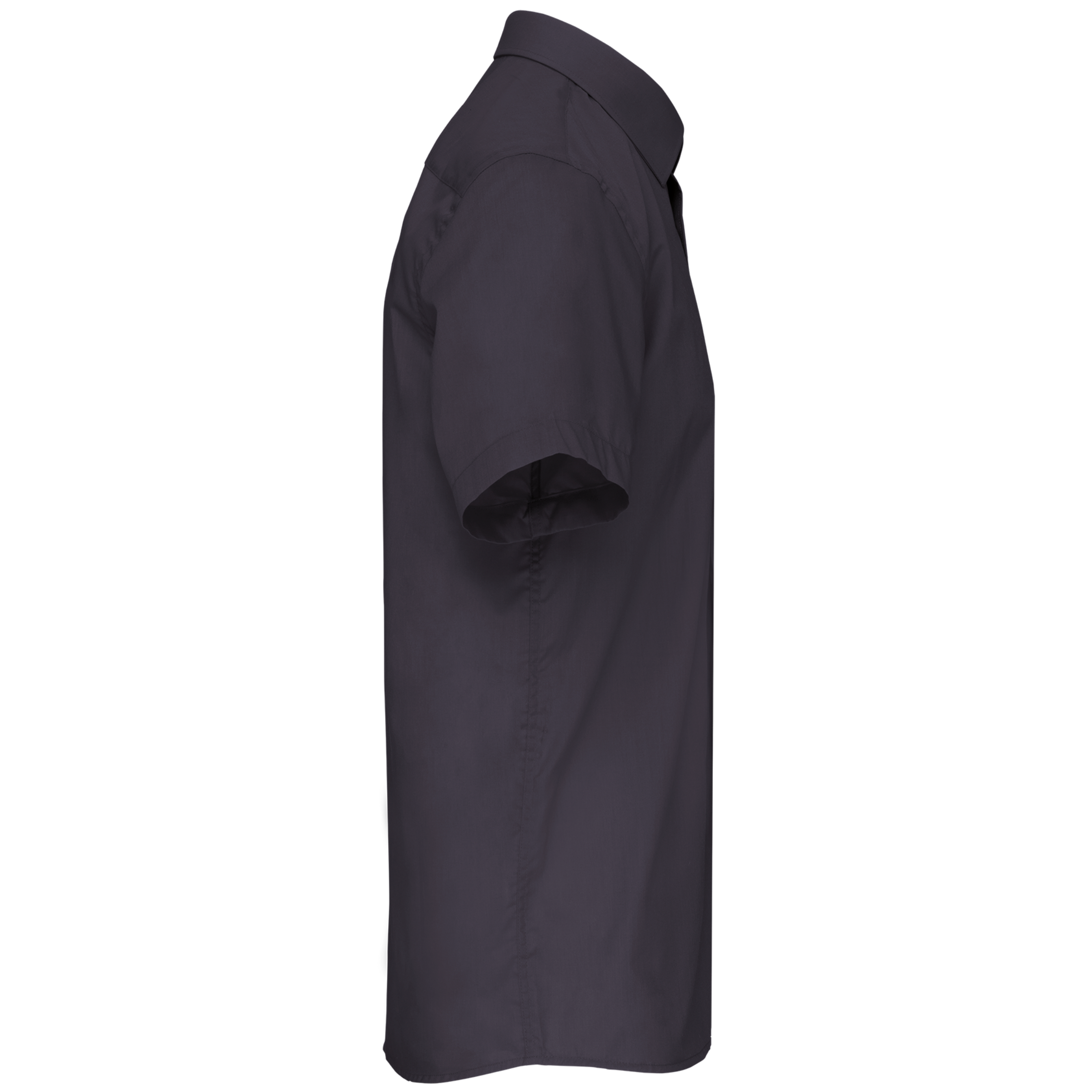 PS_K551-S_ZINC PS_K551-S_ZINC